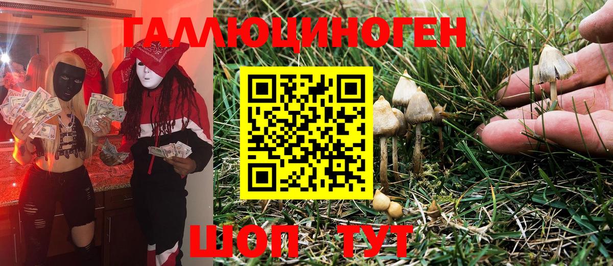 Троицк  Псилоцибиновые грибы MAGIC MUSHROOMS  Вход с VPN 